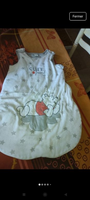 Gigoteuse Winnie l'ourson e74