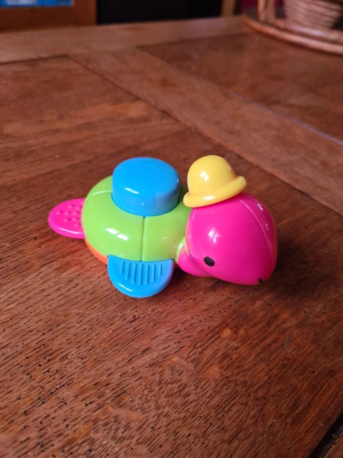 Tortue hochet - photo numéro 2