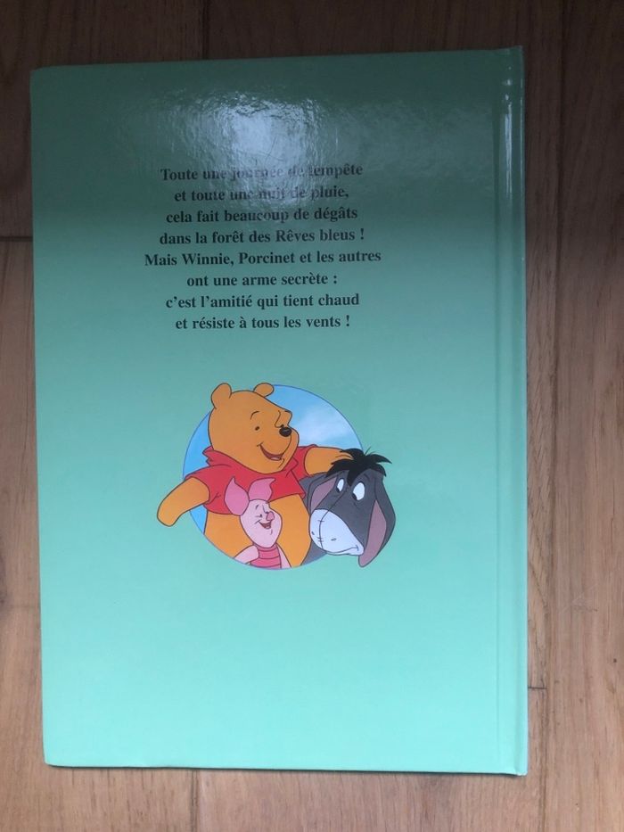 Disney présente Winnie l’ourson et le jour de la tempête - photo numéro 2