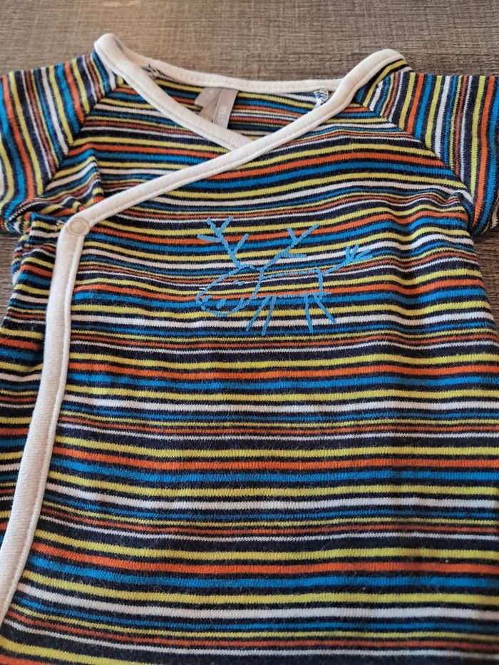 Bodie 6 mois - photo numéro 2