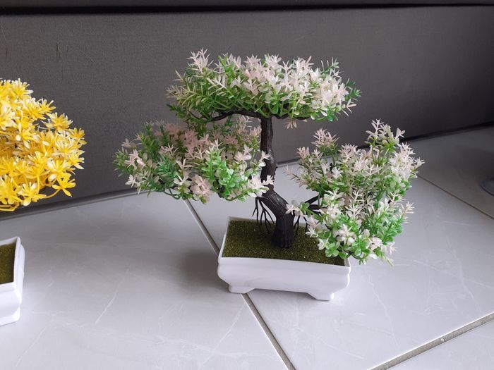 Lot arbres zen - photo numéro 3