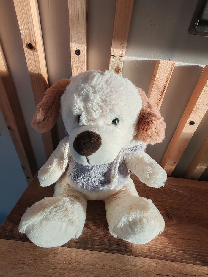 Chien gipsy beige pull gris capuche