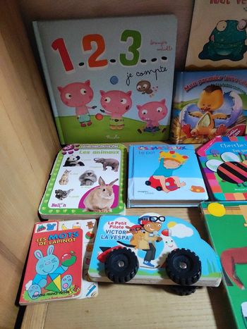 Lot de livres premier âge