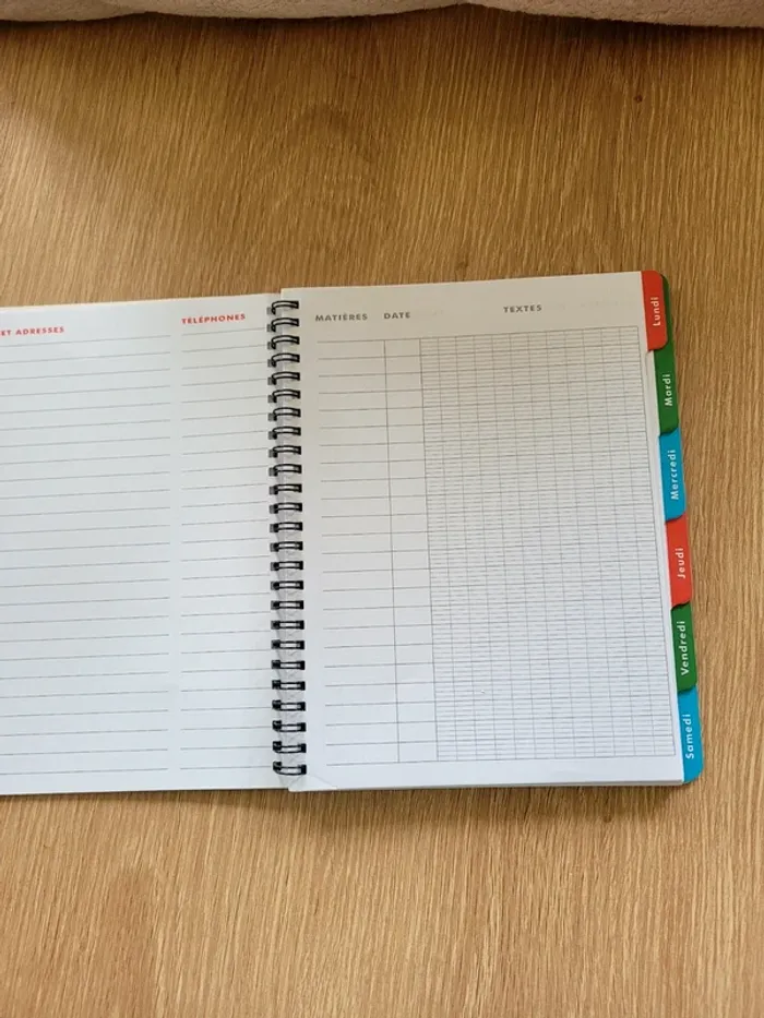 Cahier de texte bluey neuf maternelle primaire - photo numéro 4