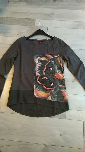 Sweat Captain Tortue