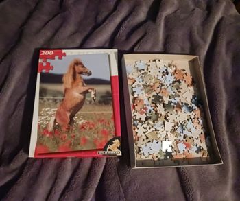 Puzzle cheval