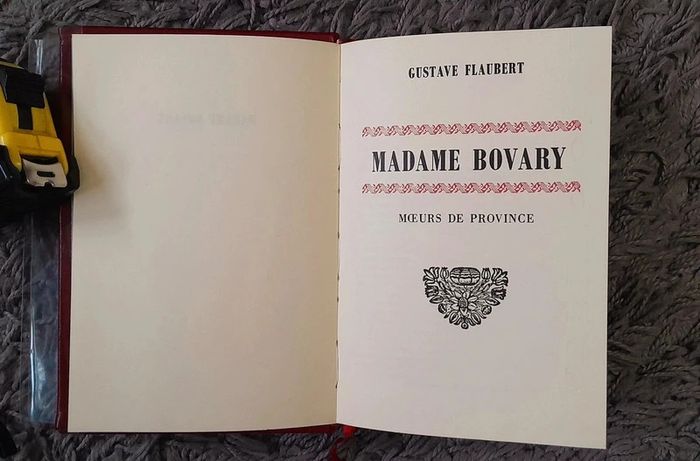 Madame Bovary - Flaubert - photo numéro 8