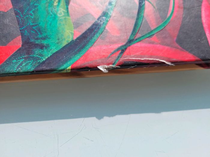 Très beau livre grand format Magiciennes du Monde (64) - photo numéro 20