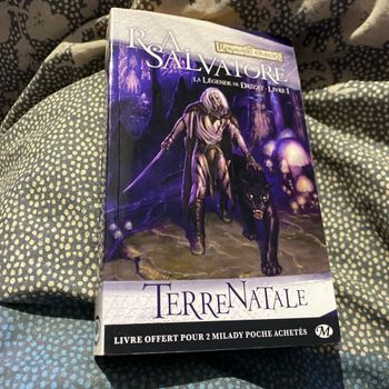 Livre 1 La légende de Drizzt Terre natale