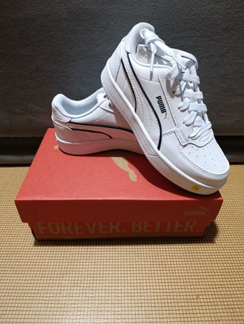 Basket puma 