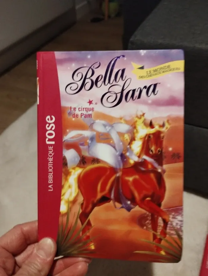 Lot de 4 livres Bella Sarah le monde des chevaux magiques bibliothèque Rose - photo numéro 7