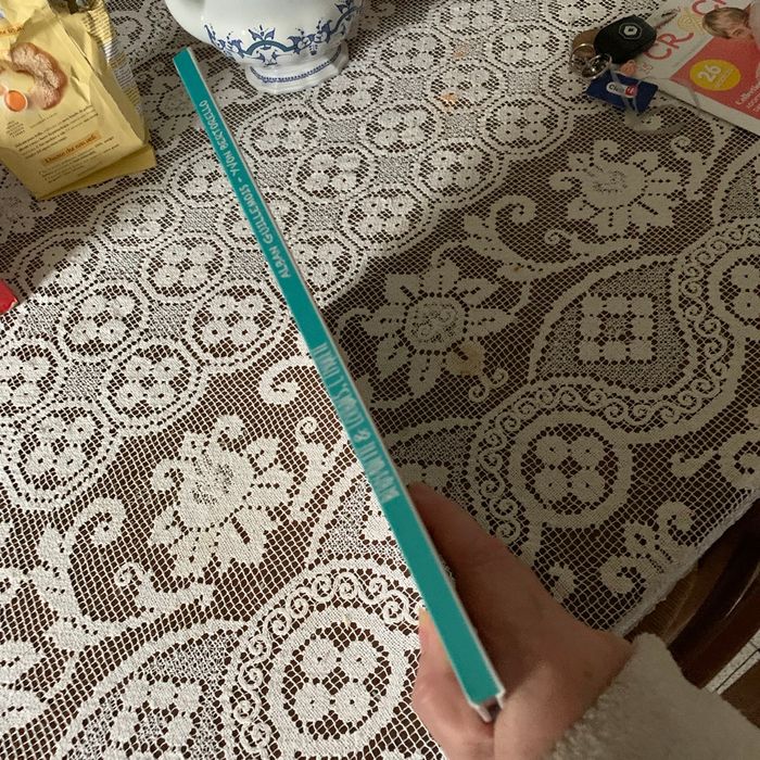 Bernadette et lourdes l enquête - photo numéro 3