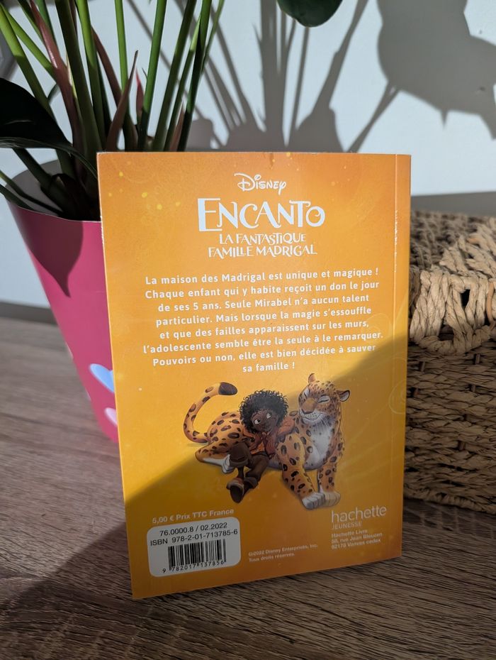 Encanto la fantastique famille madrigal - photo numéro 3