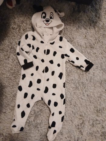 Ensemble dalmatien