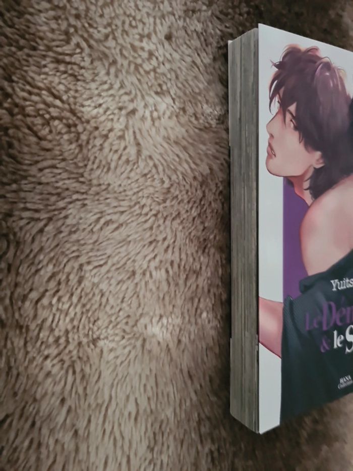 Manga Le démon et le serpent - photo numéro 4