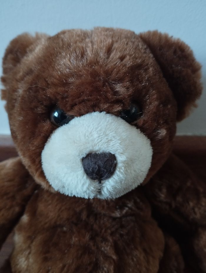 Peluche ours - photo numéro 2