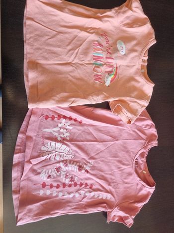 Lot 2 tee shirts fille