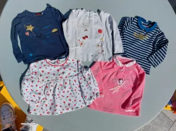 Lot 5 t-shirts manches longues 24 mois