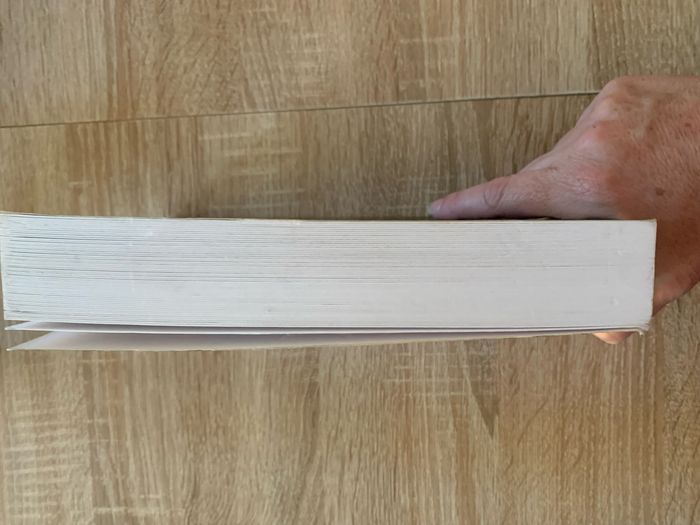 Le codex maya - photo numéro 5