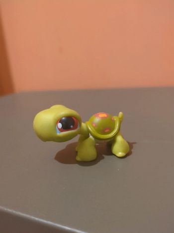 Littlest Petshop Lps Tortue