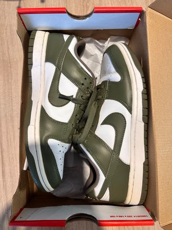 Nike dunk low Olive