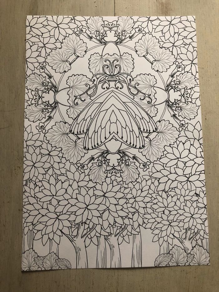 Lot de 10 coloriages neufs - photo numéro 3