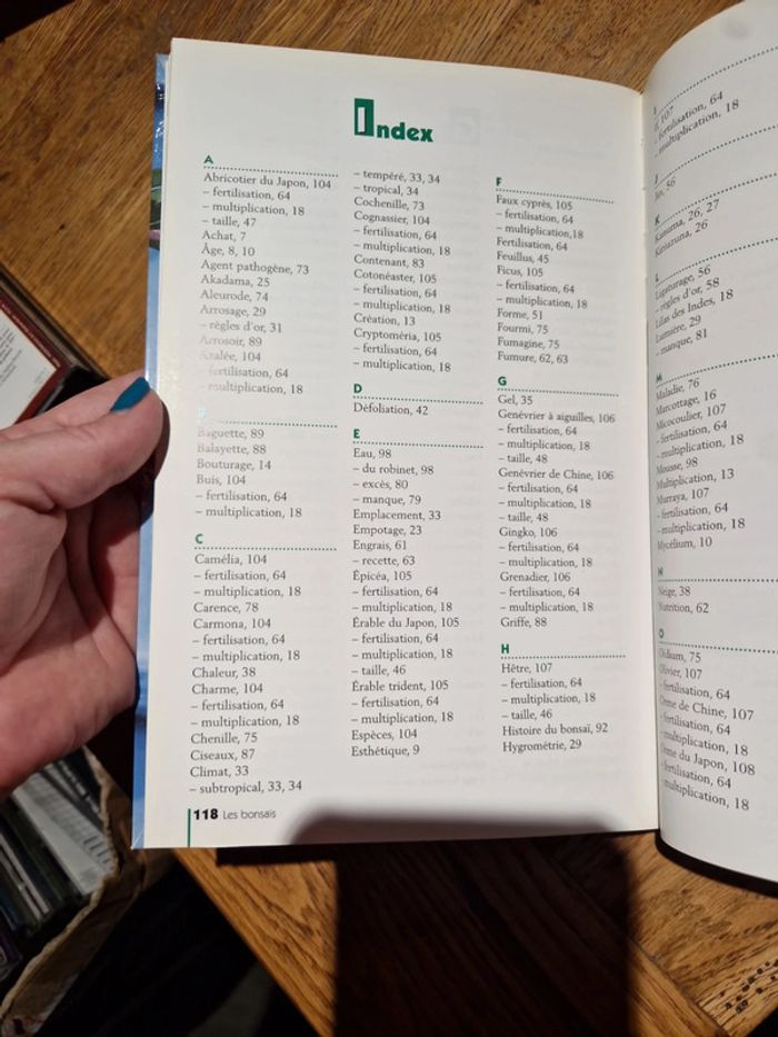 Les bonsaïs - photo numéro 4