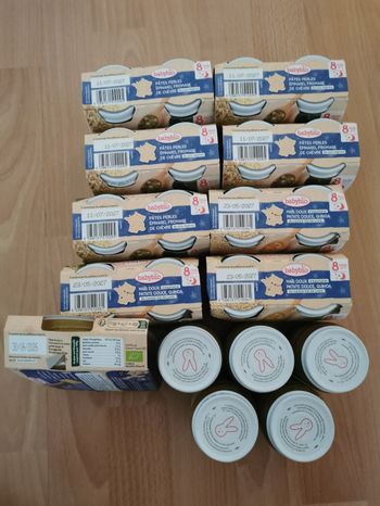 Lot 22 plats babybio et 3 offerts du soir dès 8 mois+