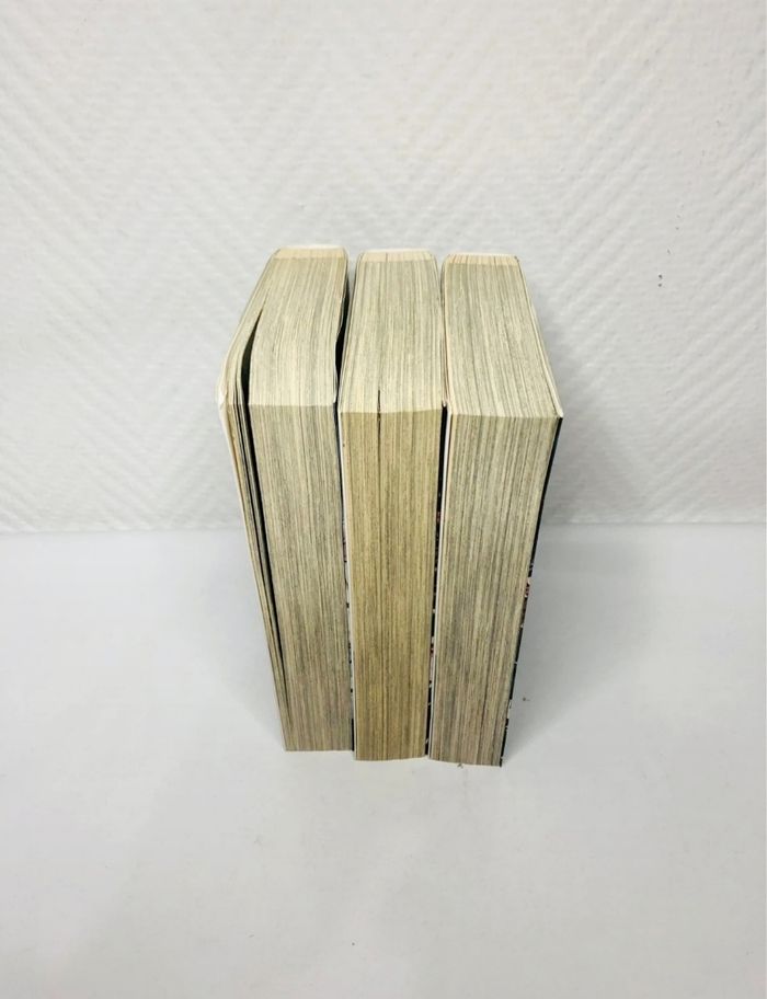 Vampire knight tome 1,2,3 - photo numéro 4