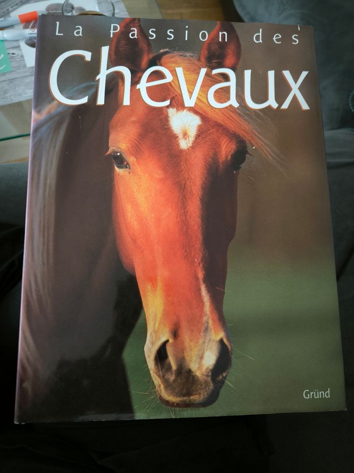 La passion des chevaux