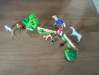 Lot Playmobil équestre