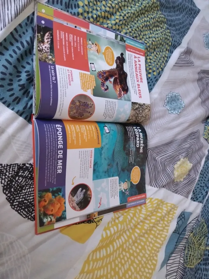 Livre animé sur les animaux - photo numéro 2