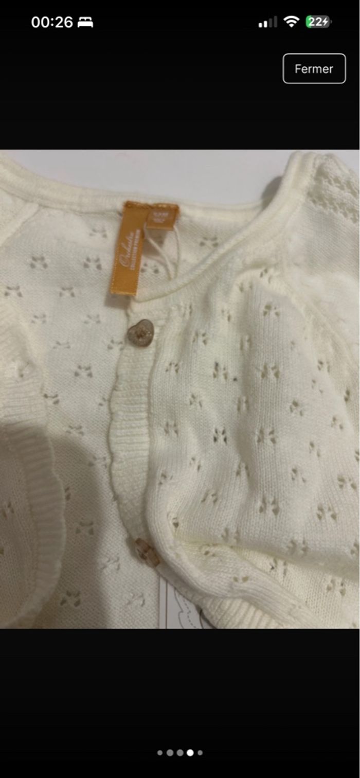 gilet - photo numéro 3