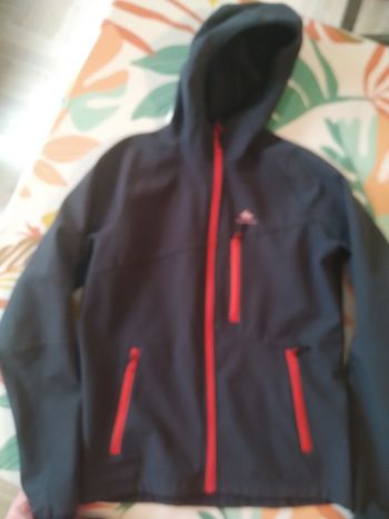 Veste softshell grise à capuche