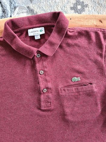 Polo Lacoste bordeaux taille 3