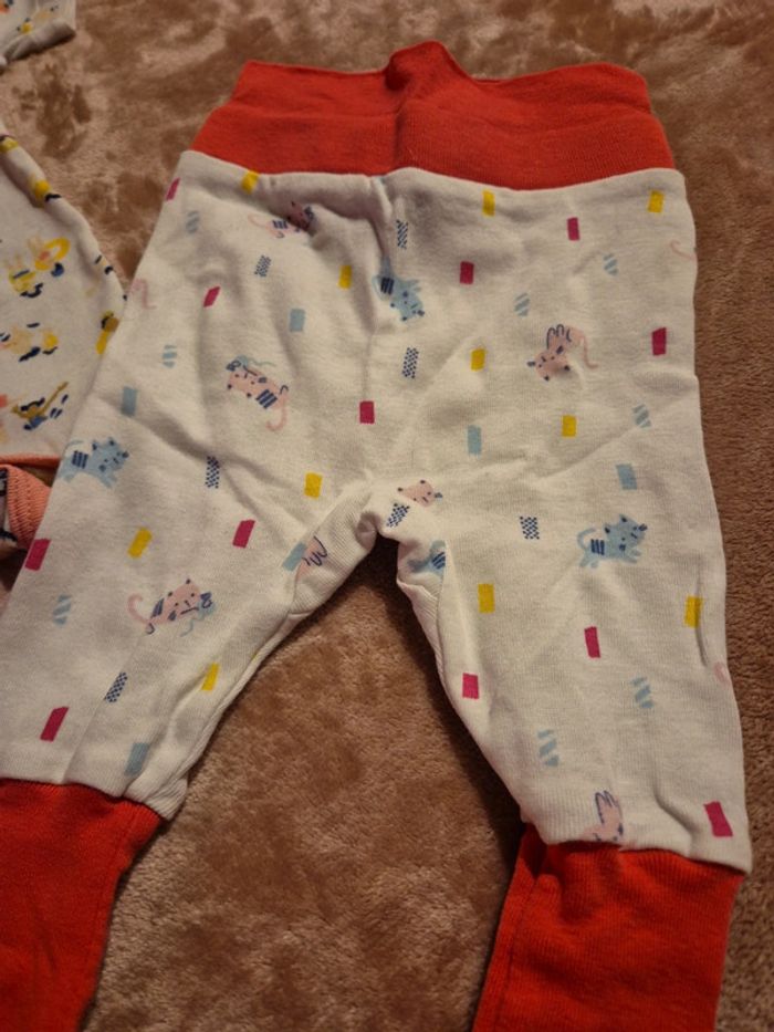 Bodie et caleçon - photo numéro 3