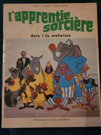 1972 Livre ancien rare l'Apprenti Sorcière dans l'île enchantée contes de la nuit Hachette Disney