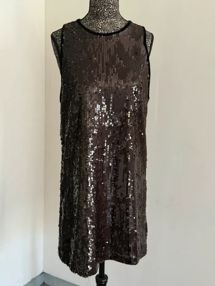 Robe à sequin Zara