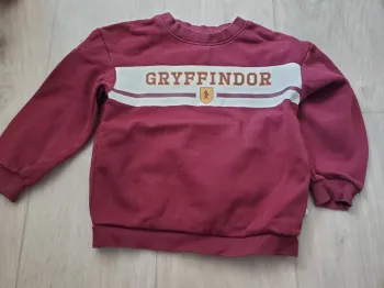 Sweat Harry Potter 5 ans