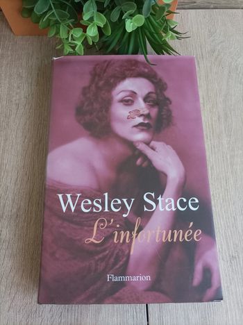 Livre L'infortuné Flammarion