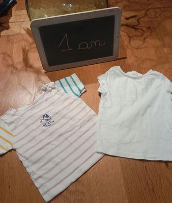 Lot de 2 t-shirt taille 1 an en très bon état