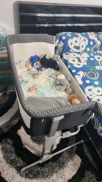 Cododo bébé