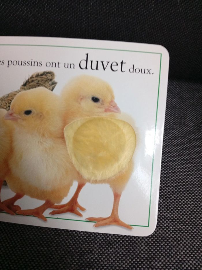 Livres bébé - photo numéro 5