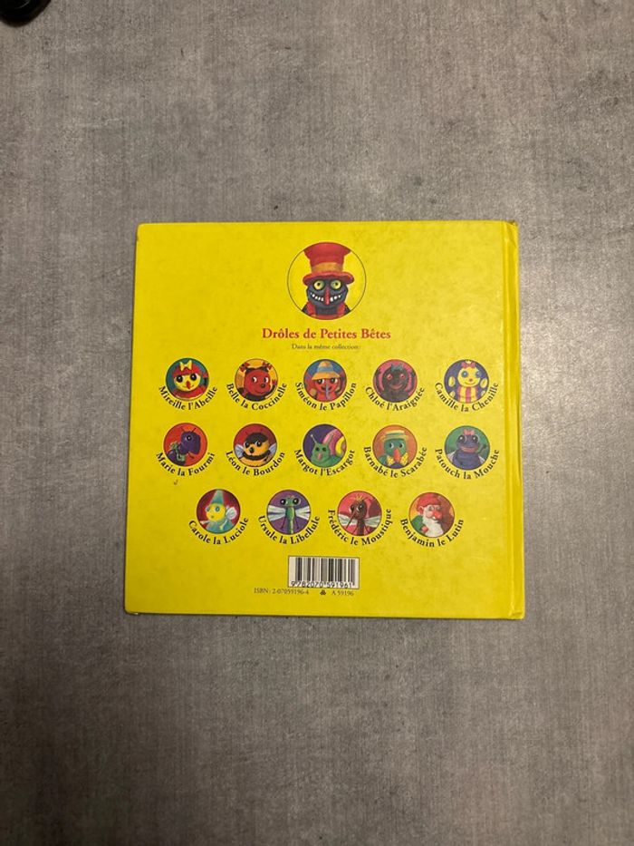 Livre, drôle de petites bêtes, Loulou, le poux - photo numéro 5