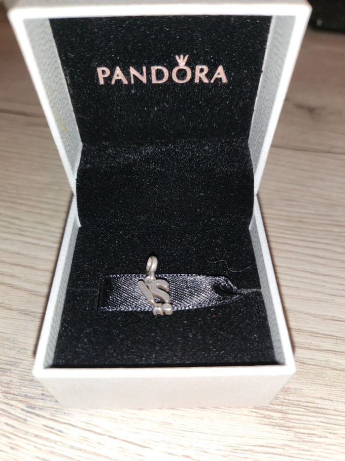 Charm pandora