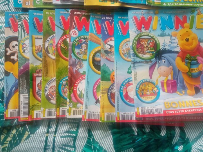 Lot livre Winnie - photo numéro 2