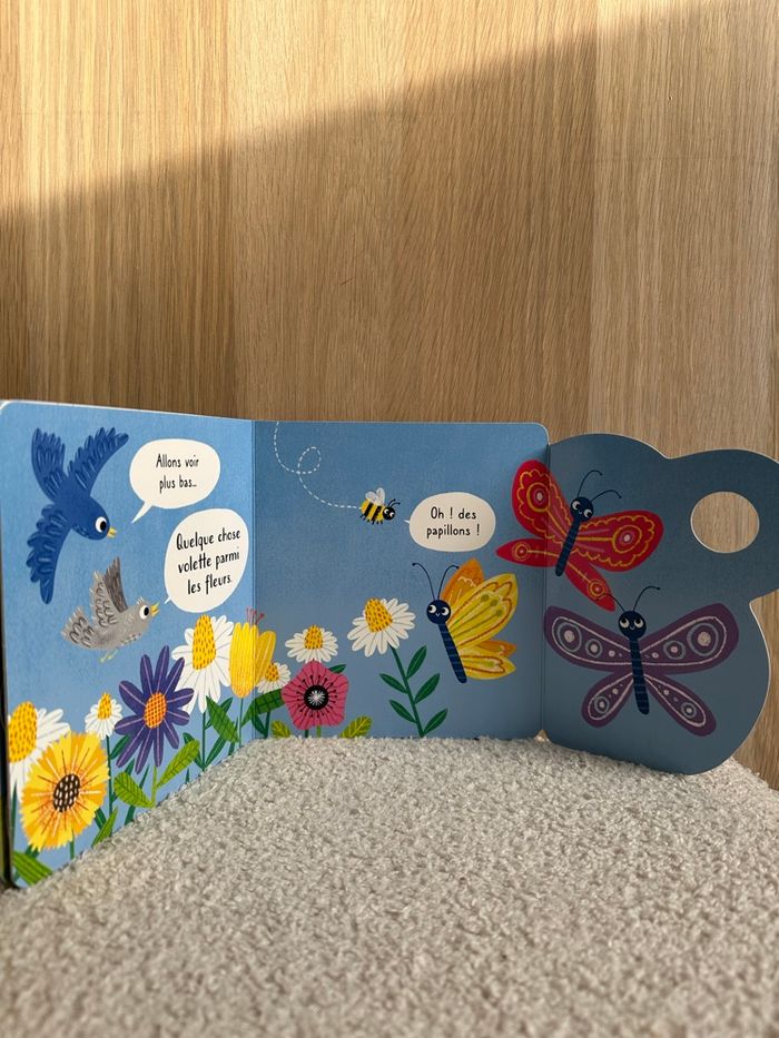 Livre dans le ciel - photo numéro 2