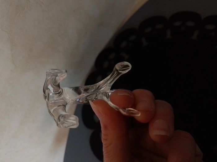Cheval en verre - photo numéro 7