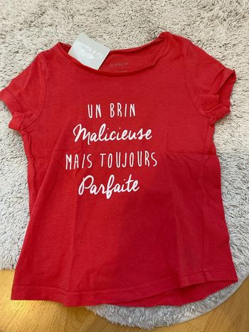 Tee shirt rose pat et ripaton 36 mois