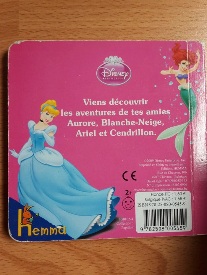 Les princesses Disney - photo numéro 2